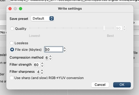 XnConvert Output settings to optimize an image for the web