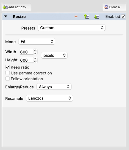 Resize option panel in XnConvert during optimizing an image for web